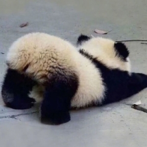 不起名发不了评论